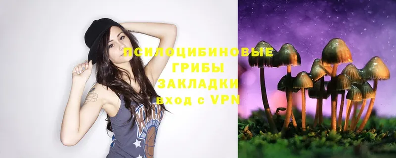 Псилоцибиновые грибы Psilocybe  купить   Набережные Челны 